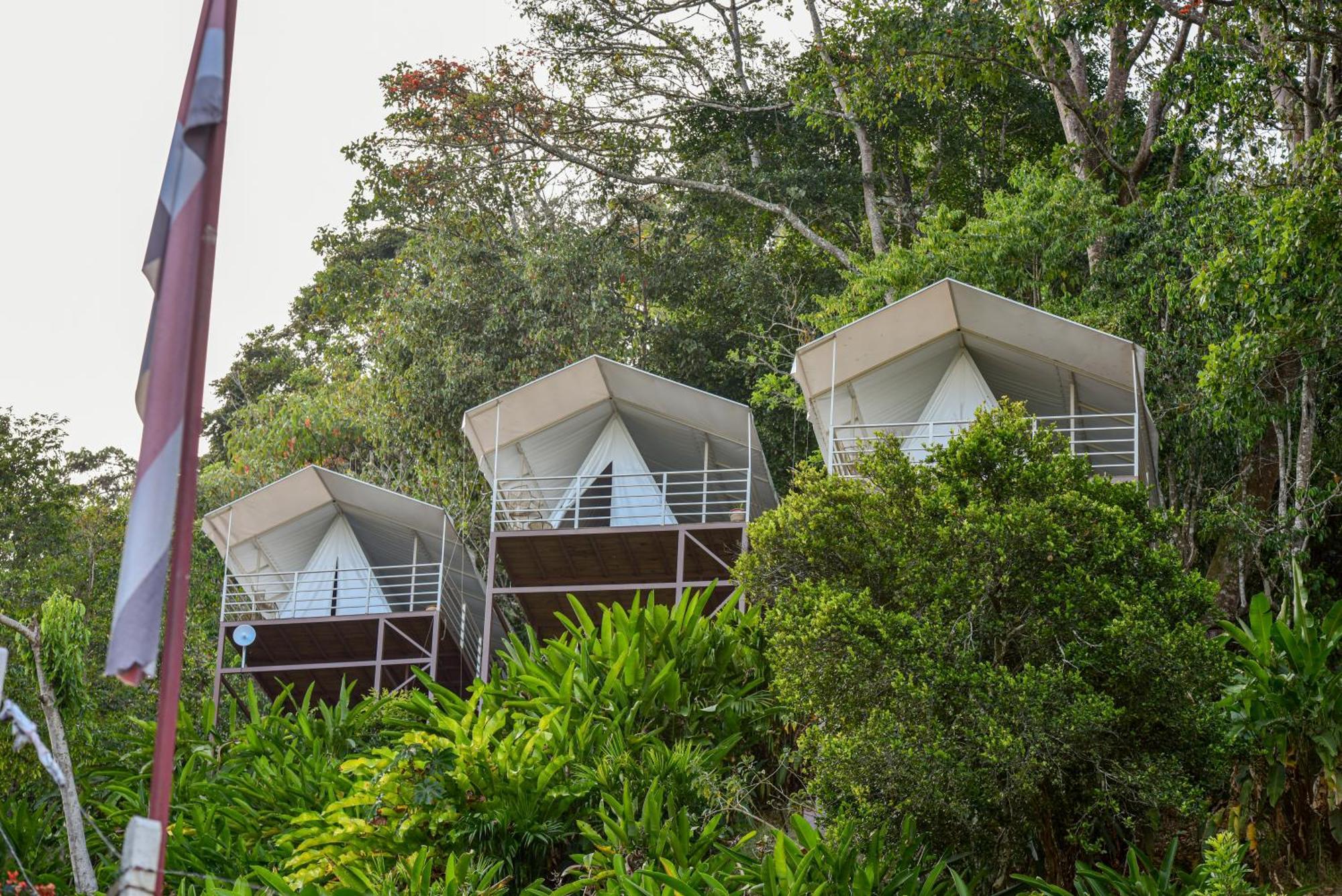 Quimera Glamping Pacuar Zewnętrze zdjęcie
